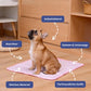 🔥Exclusive 50% OFF | Self-Cooling Dog Mat | BPA-Free Breathable Pet Cooling Pad | Waterproof & Machine Washable Summer Bed for Indoor & Outdoor Use