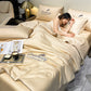 🔥 Summer Simple Ice Silk Quilt🎁Summer Ice Silk Cooling Quilt | Lightweight Breathable Bedding with 3D Structure | Machine Washable Summer Comforter