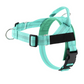 💐50% OFF ! Premium No-Pull Dog Harness | Breathable Mesh Pet Lead with Quick-Release Buckle | Adjustable Walking Vest for Dogs🐕✨【Limited Offer】