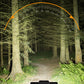 🚴 LIMITED-TIME 50% OFF! ✨ Bicycle Headlight – 28 LED, Horn, USB, Remote Control