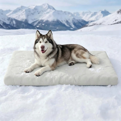 ❄️Instant Cooling Pet Mat | Scratch-Resistant Waterproof Dog Bed | Non-Toxic Summer Rest Pad for Cats & Dogs 🐾 Easy Wipe Clean 💧 Deep Restful Sleep ✨