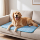 📢📢50% OFF !! 🐾 BREATHABLE ICE SILK PET COOLING MAT — Instant Summer Relief | Durable & Foldable Dog Bed 🌬️
