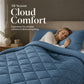 🛏️ LIMITED-TIME 58% OFF! ✨ 3-Piece Quilted Comforter Set with Shams – All-Season Microfiber