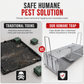 Automatic Double Door Pass Through Humane Rat Trap Cage Galvanized Steel Mouse Catcher for Home Use